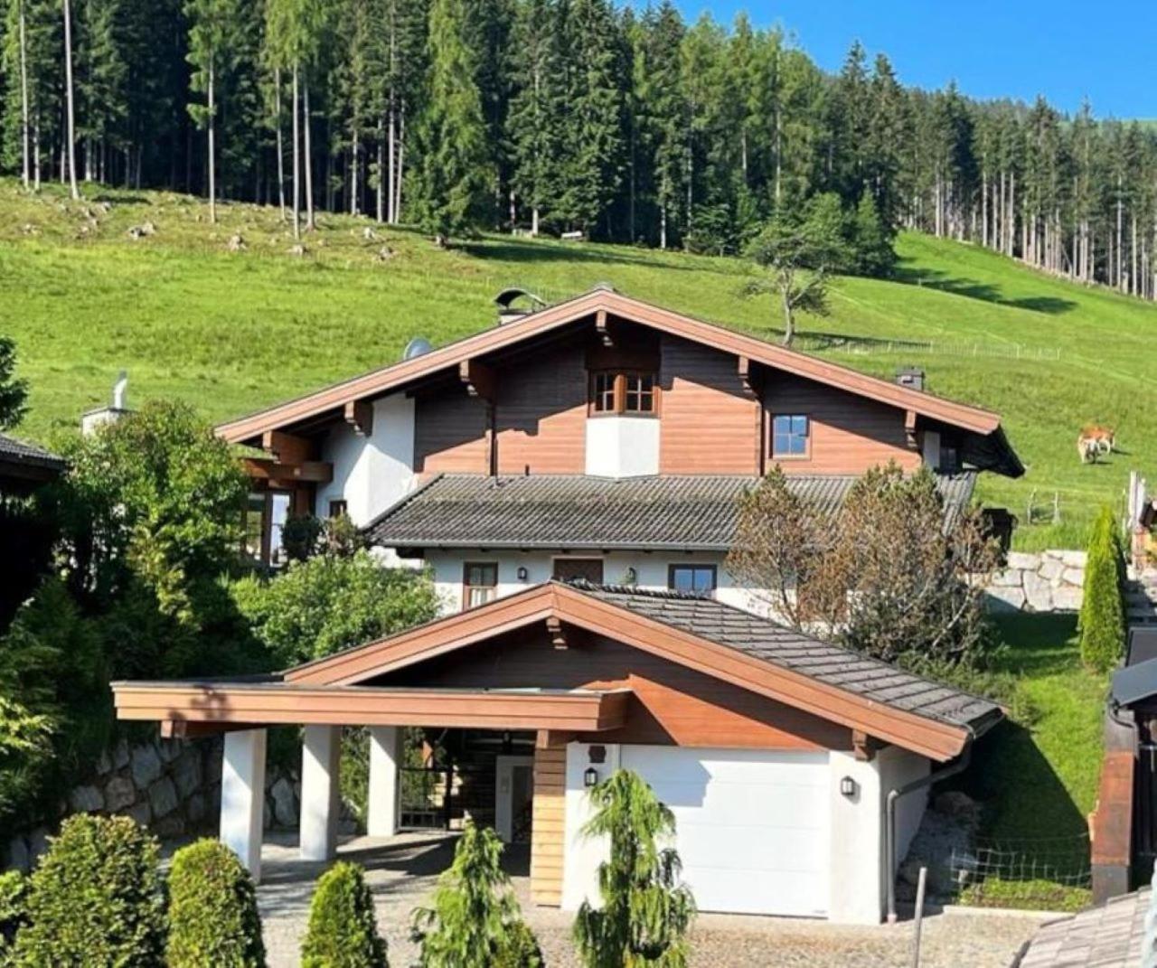 Chalet Steinberg Leogang Zewnętrze zdjęcie